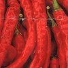 Cayenne Peppers